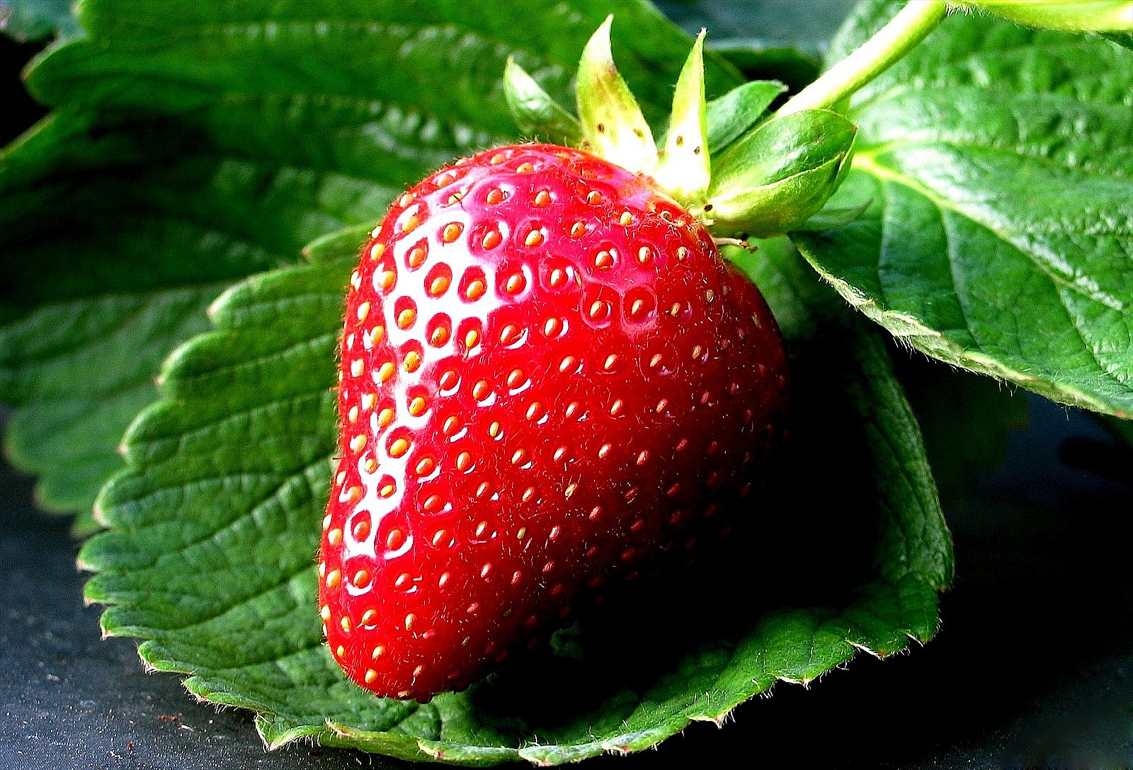 4k desktop hd picture of strawberry wallpaper