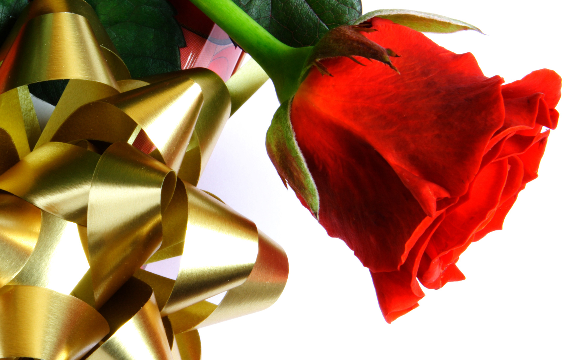 3d love rose wallpaper download