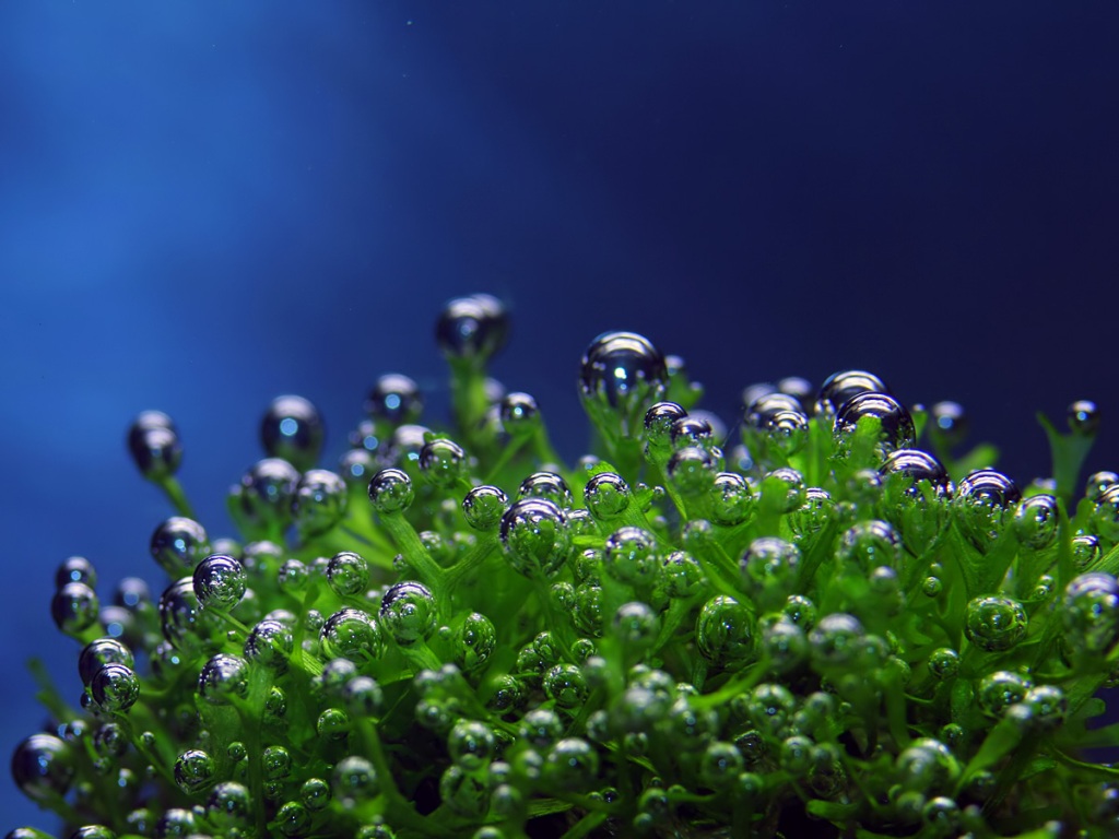 3d hd wallpaper download for desktop