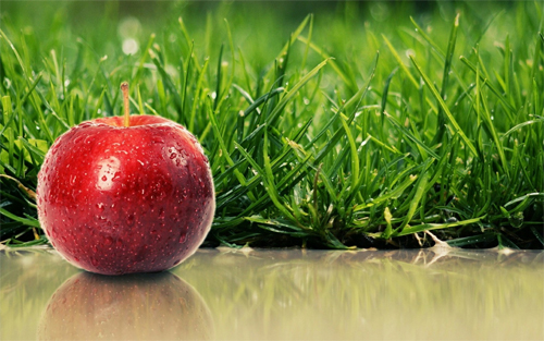 green apple fruit wallpaper high resolution