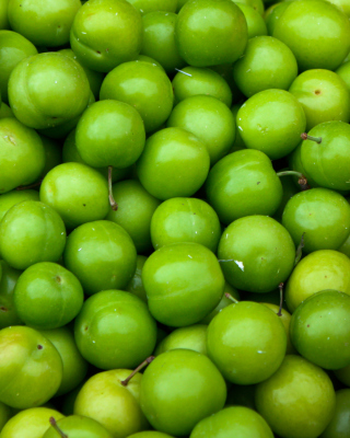 green apple fruits phone wallpaper dowload