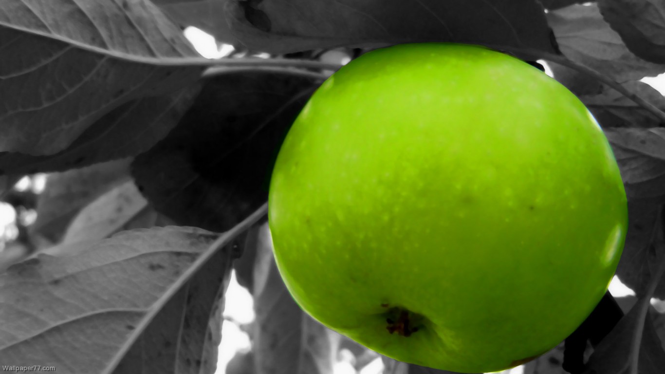 hd green apple fruits wallpaper 1366x768 dowload