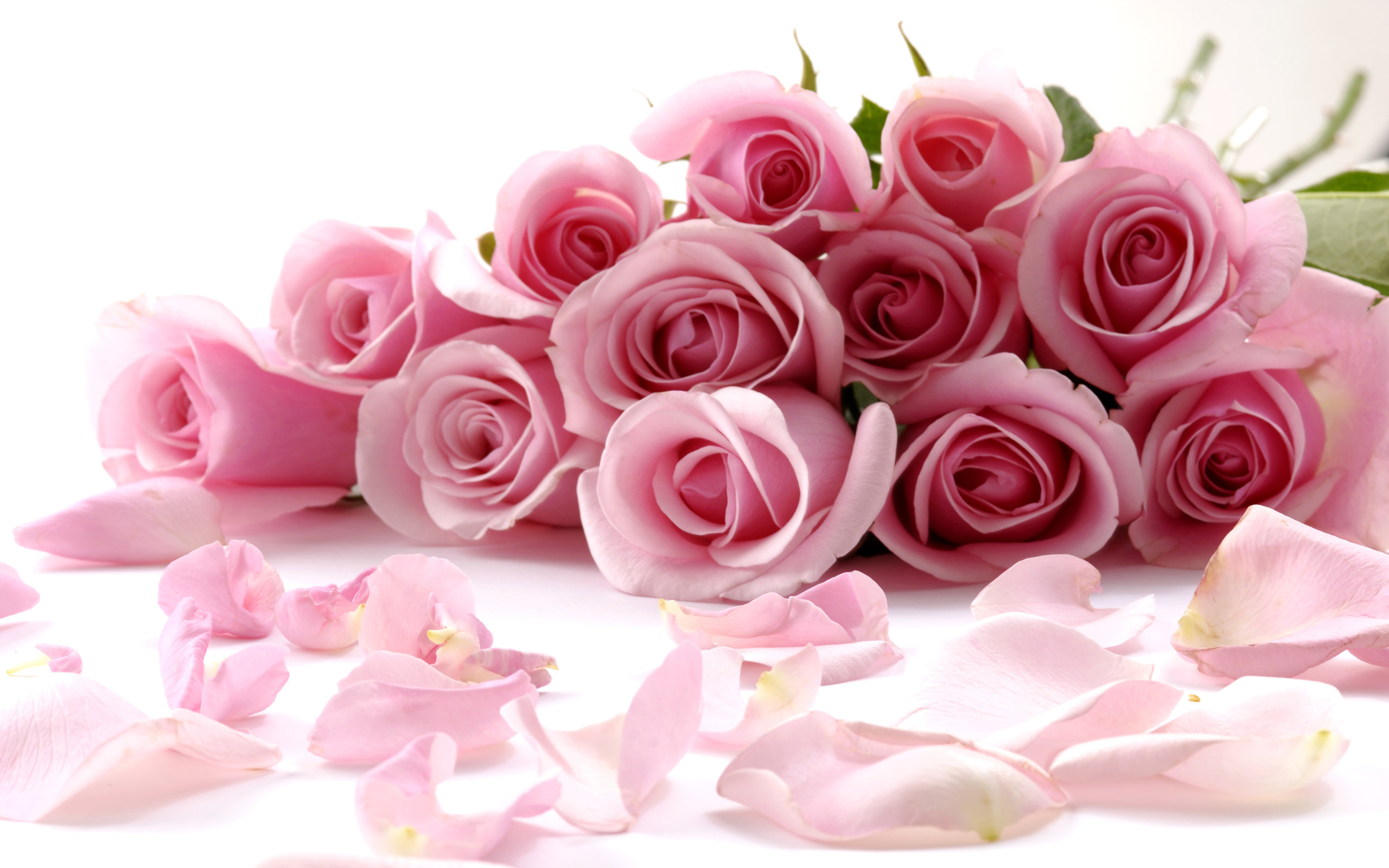 3d wallpaper hd rose dowload