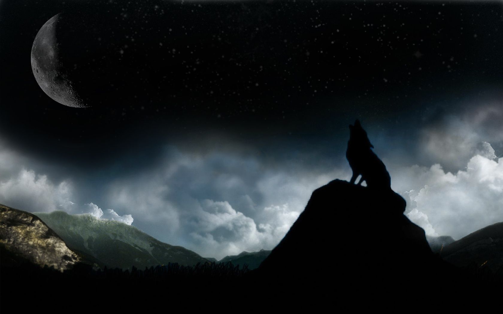 a images of a wolf howling wallpaper