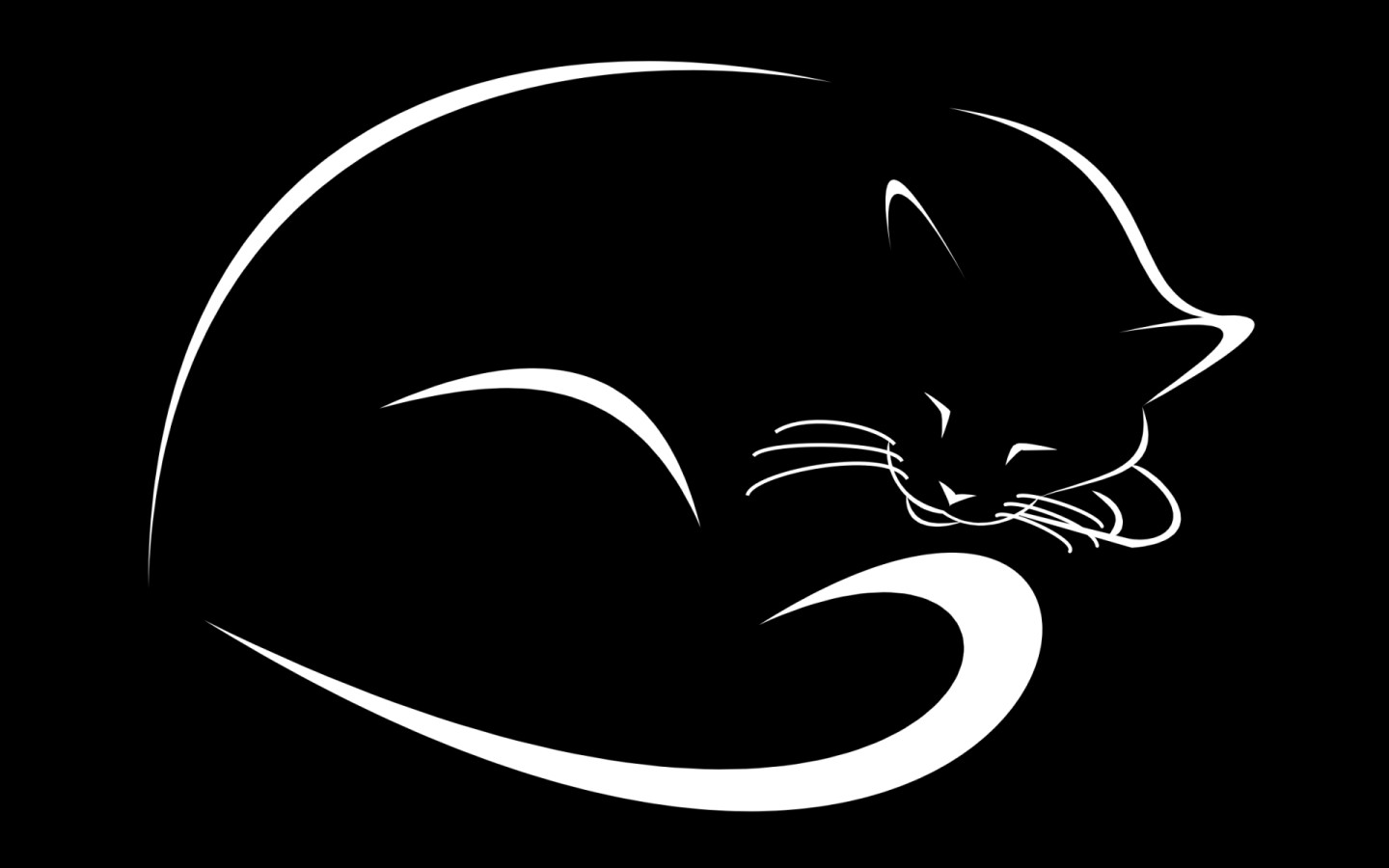 animated images of cats dowload