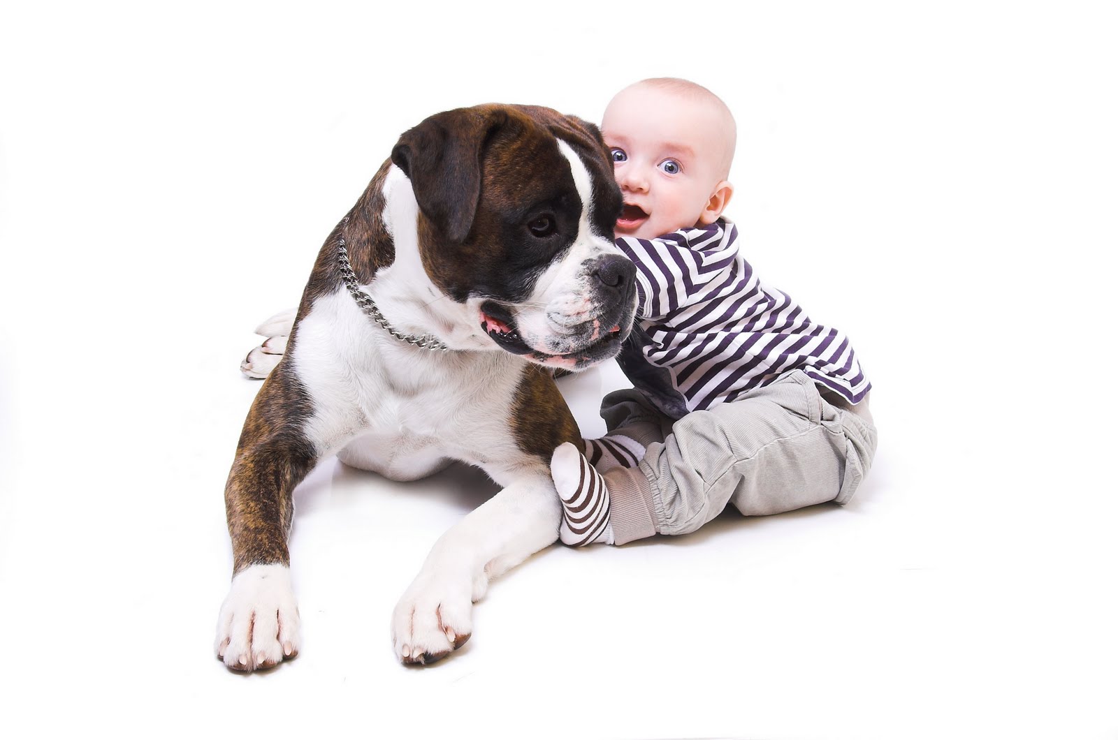 baby puppy images free dowload