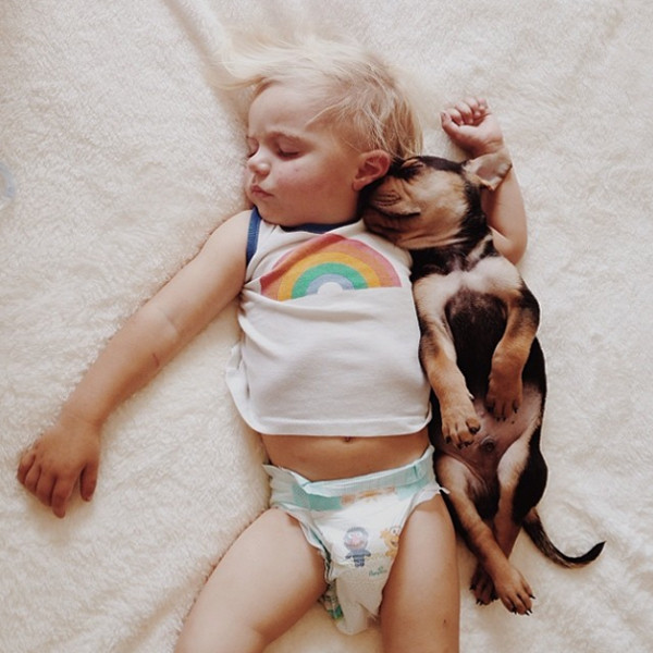baby puppy picture