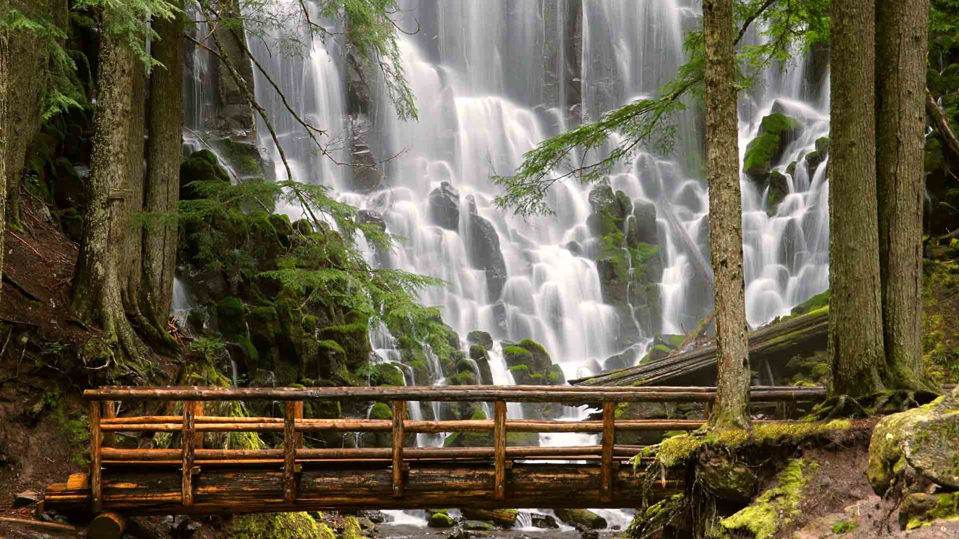 background nature pics desktop dowload