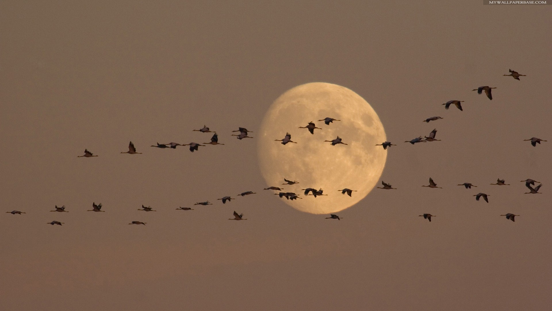 beautiful full moon images dowload