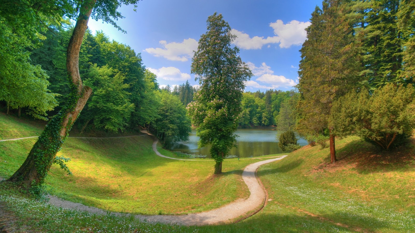 beautiful high definition pictures s