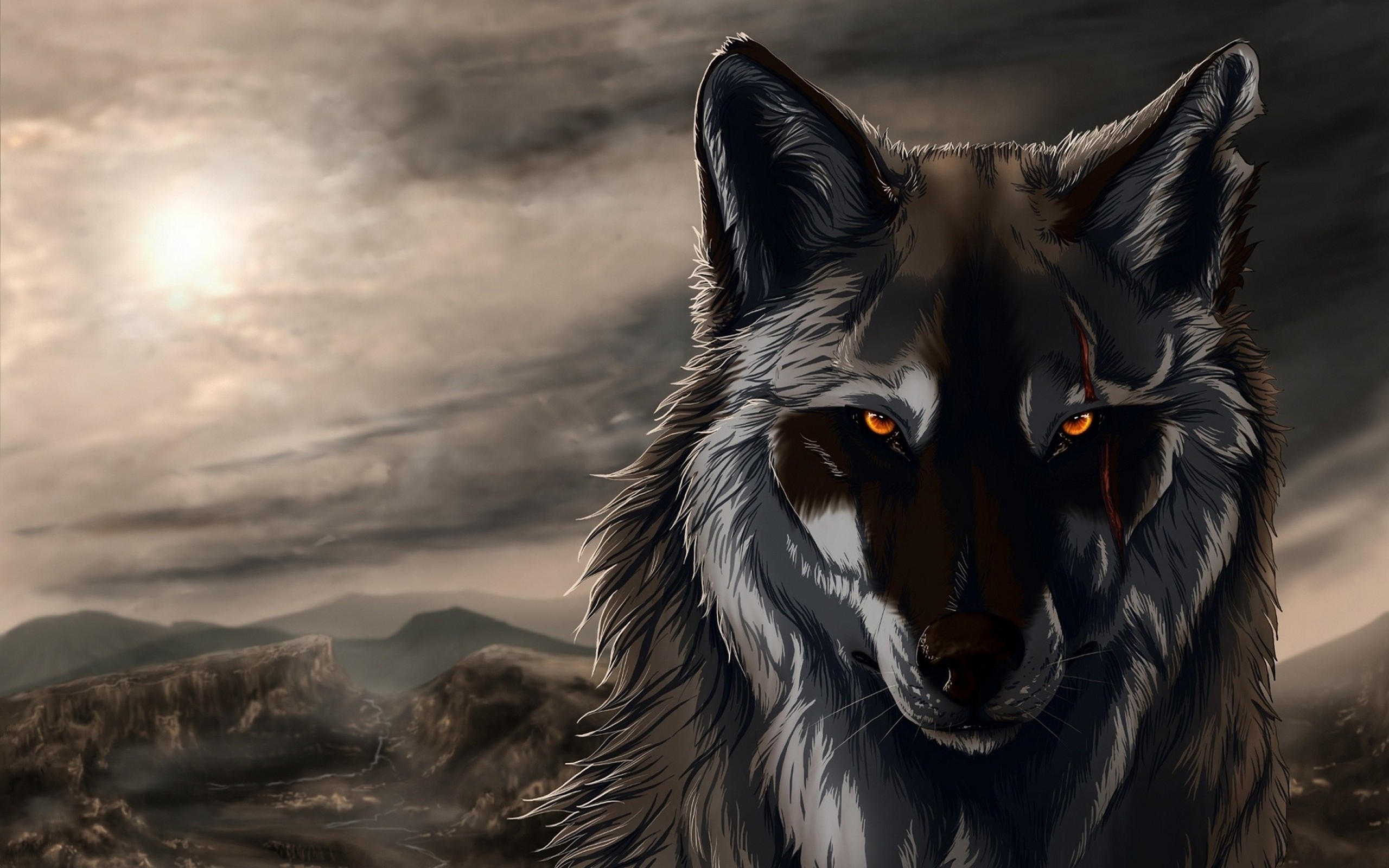 best wolf images wallpaper