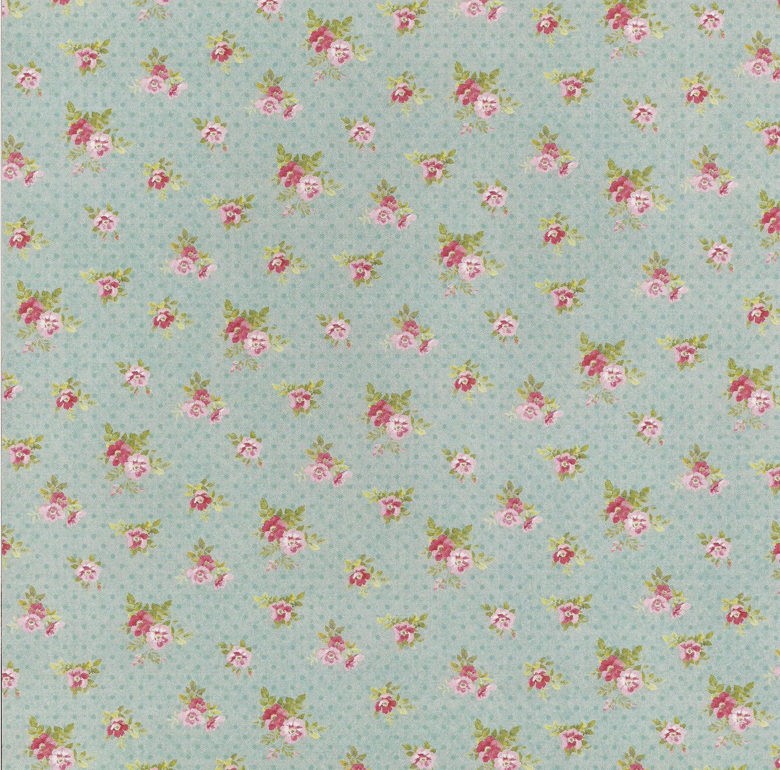 blossom flowers pics dowload