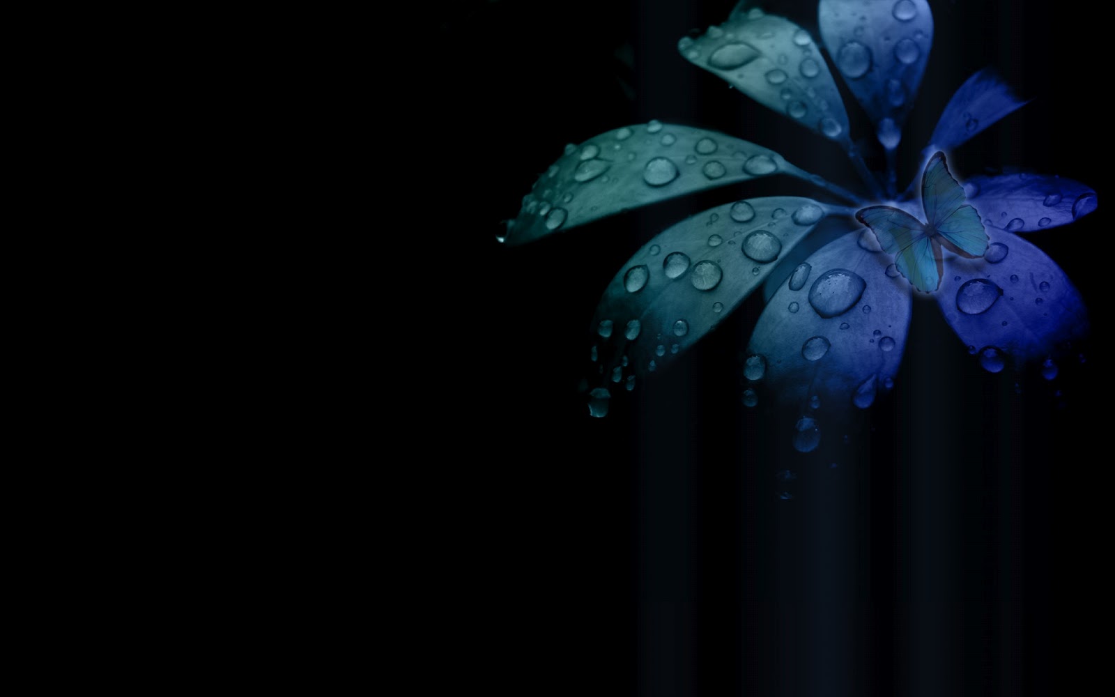 blue and black flower wallpaper