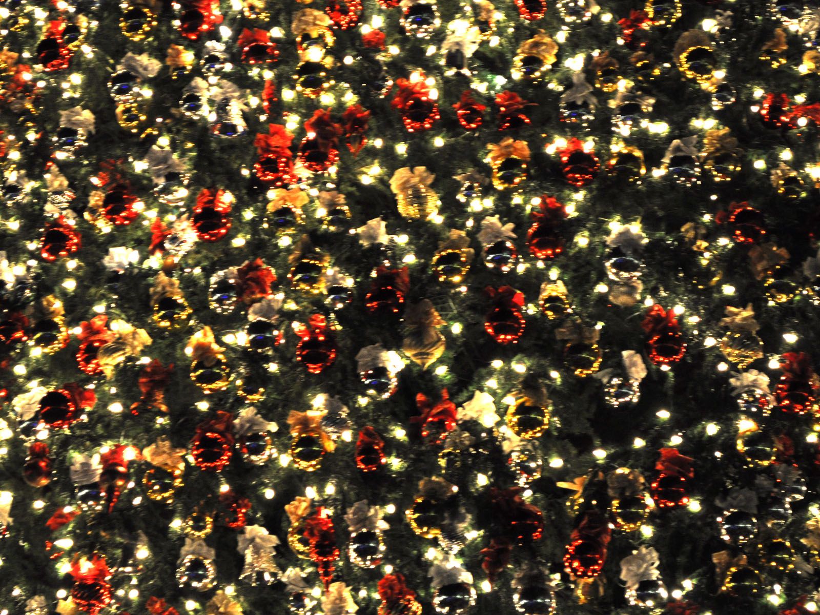 christmas images backgrounds dowload