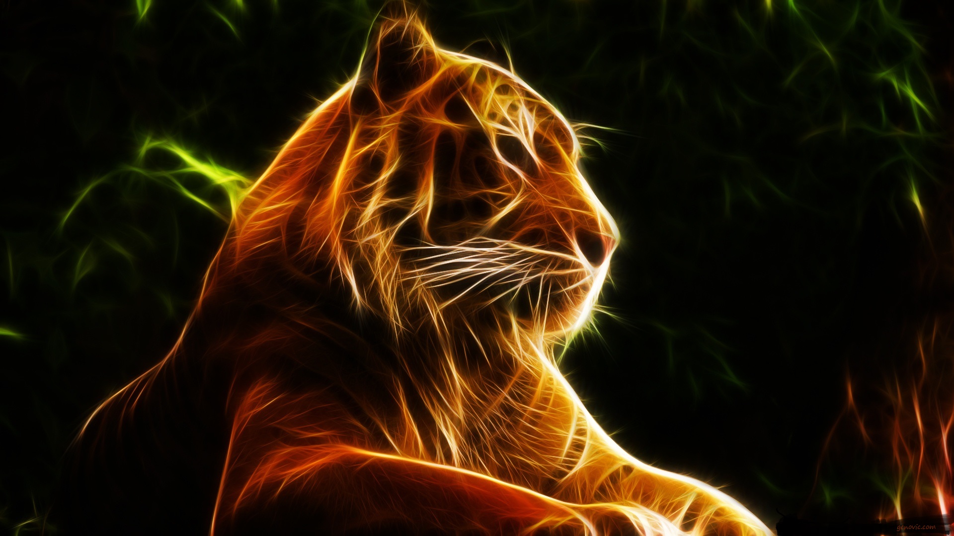 cool tiger picture dowload