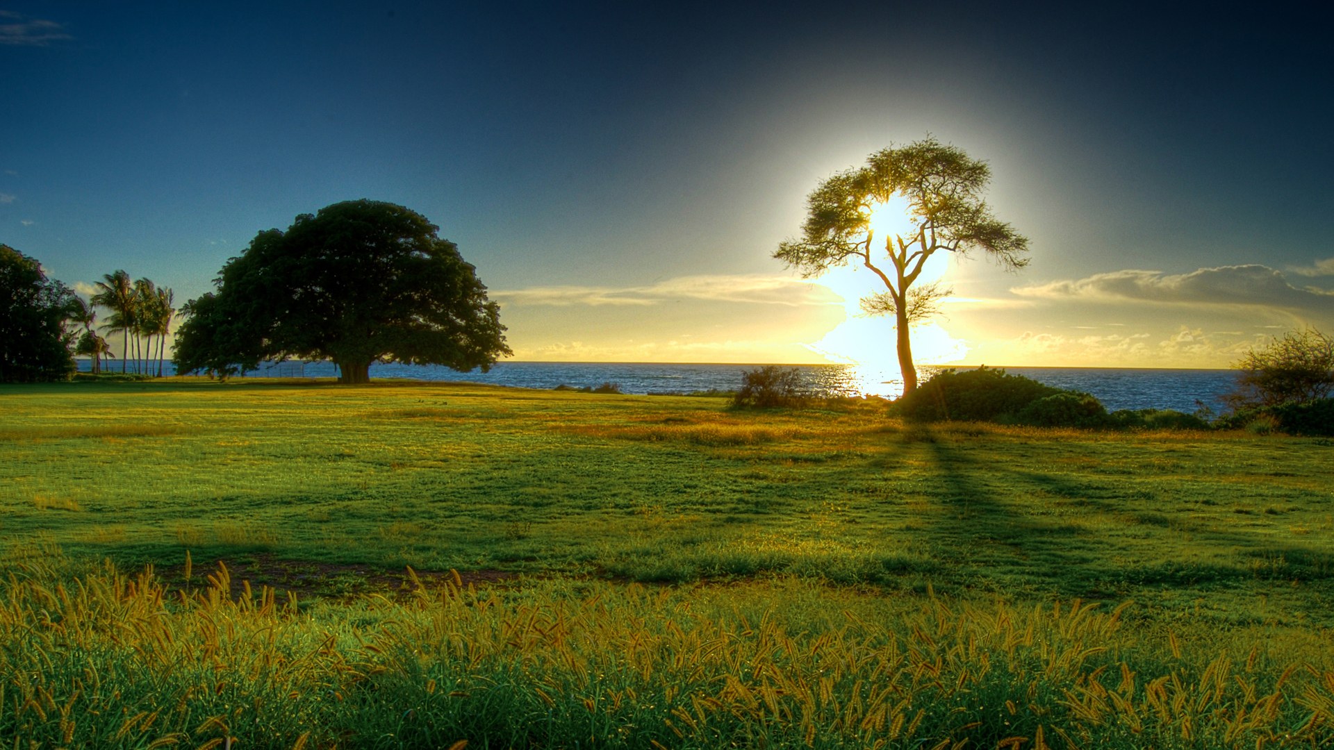 desktop beautiful nature wallpaper 1080p dowload