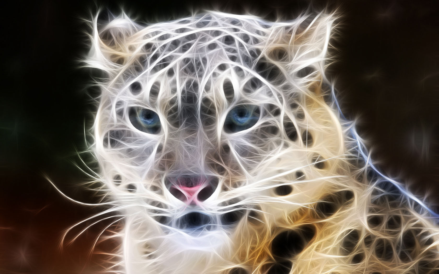 desktop best pictures of animals