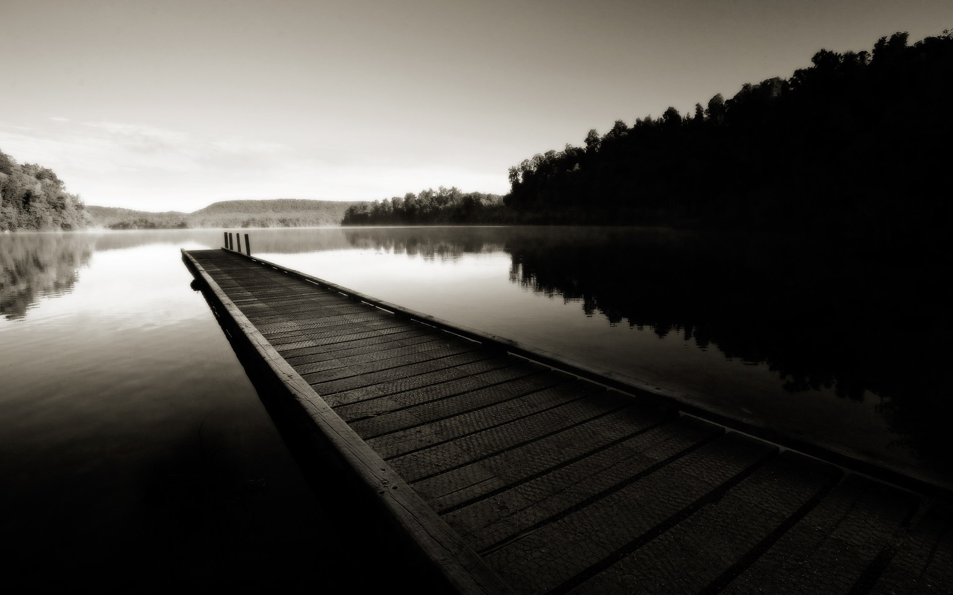 desktop black and white nature wallpapers dowload