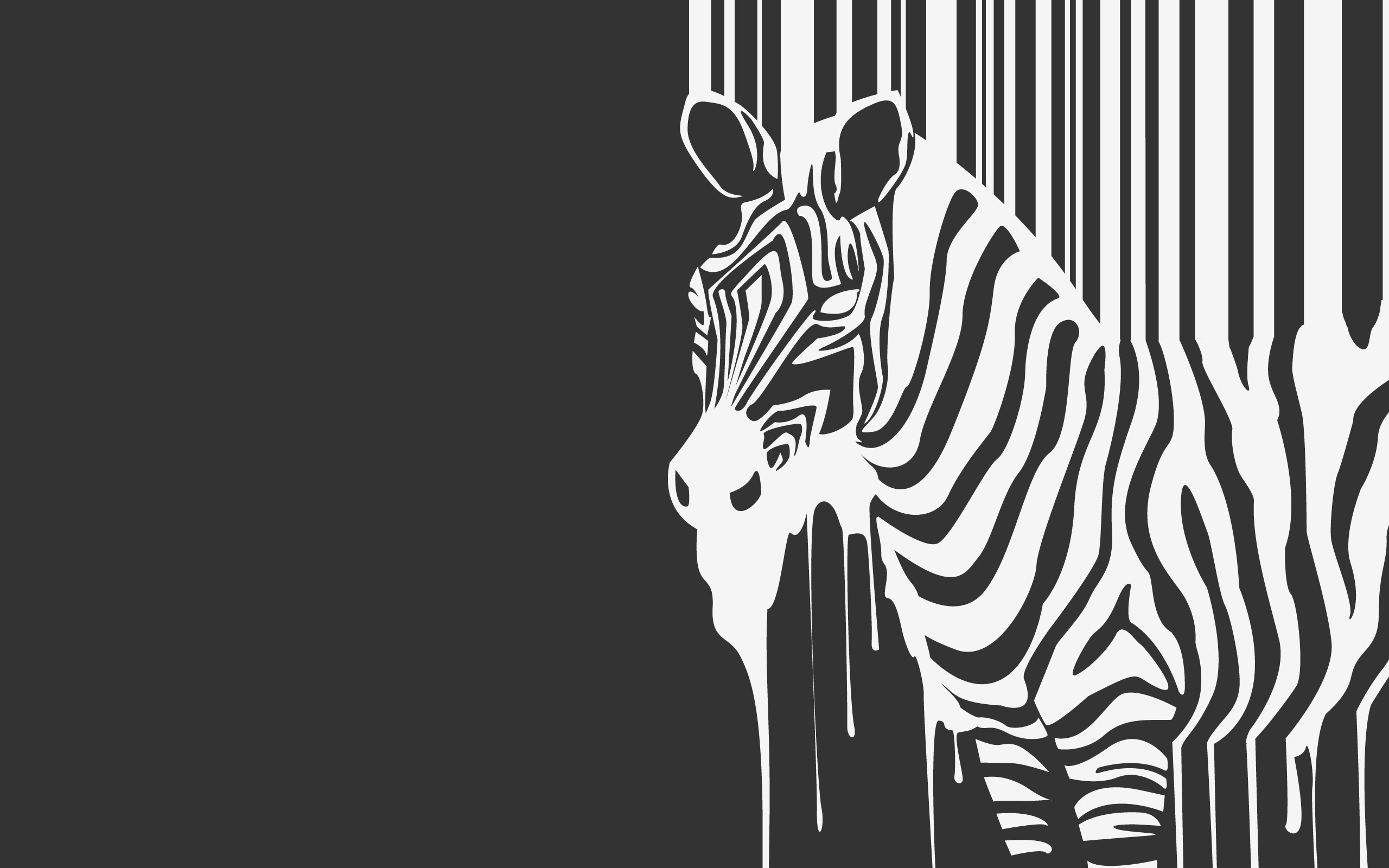 desktop black and white zebra images dowload