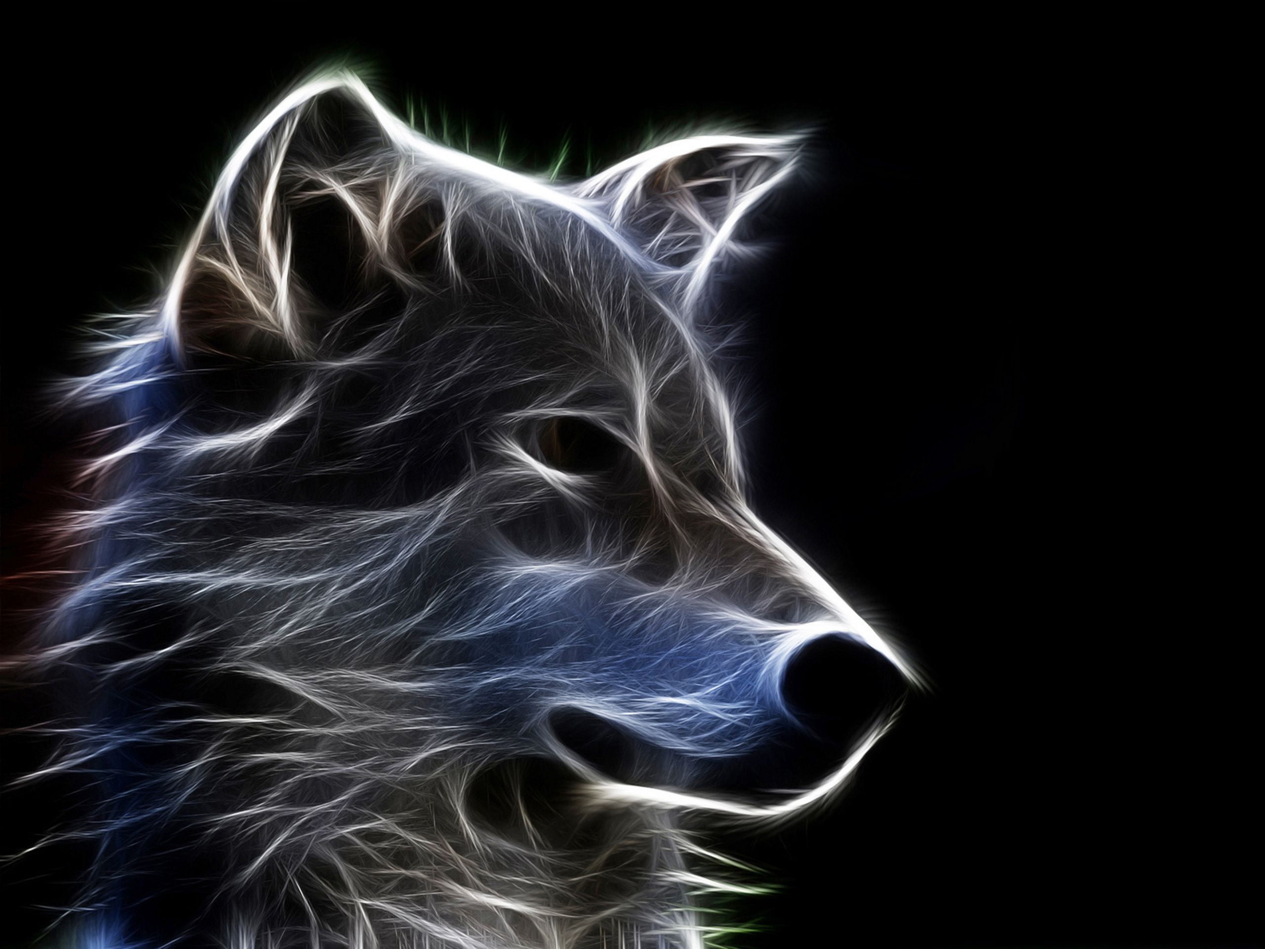 desktop cool wolf pictures dowload