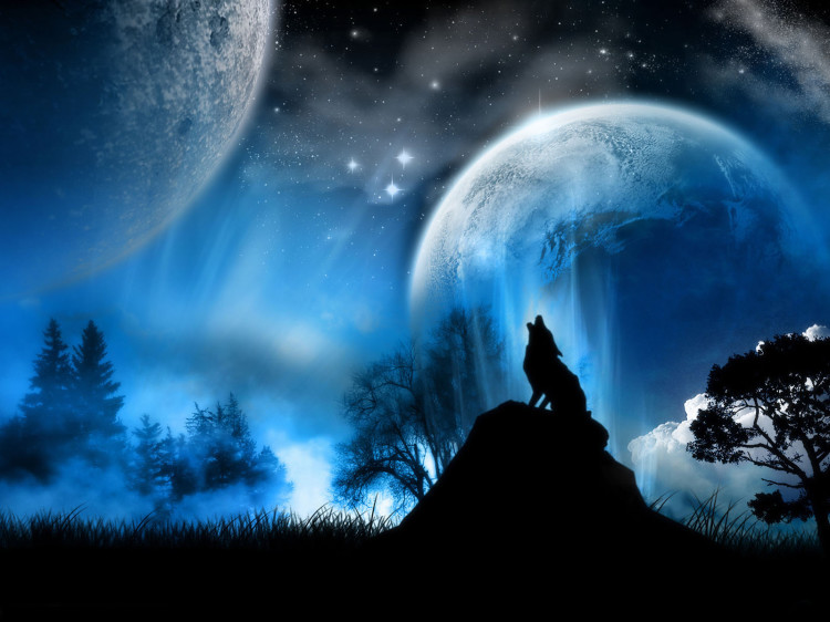 desktop free animals photos dowload