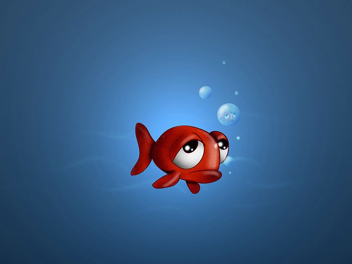 desktop funny photo of animals wallpaper