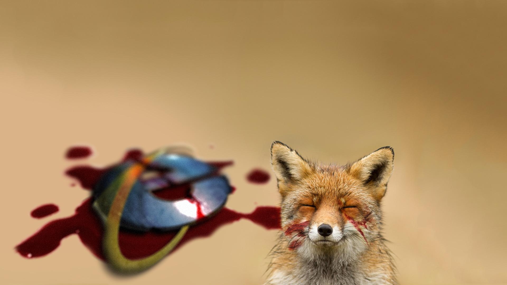 desktop happy fox wallpaper