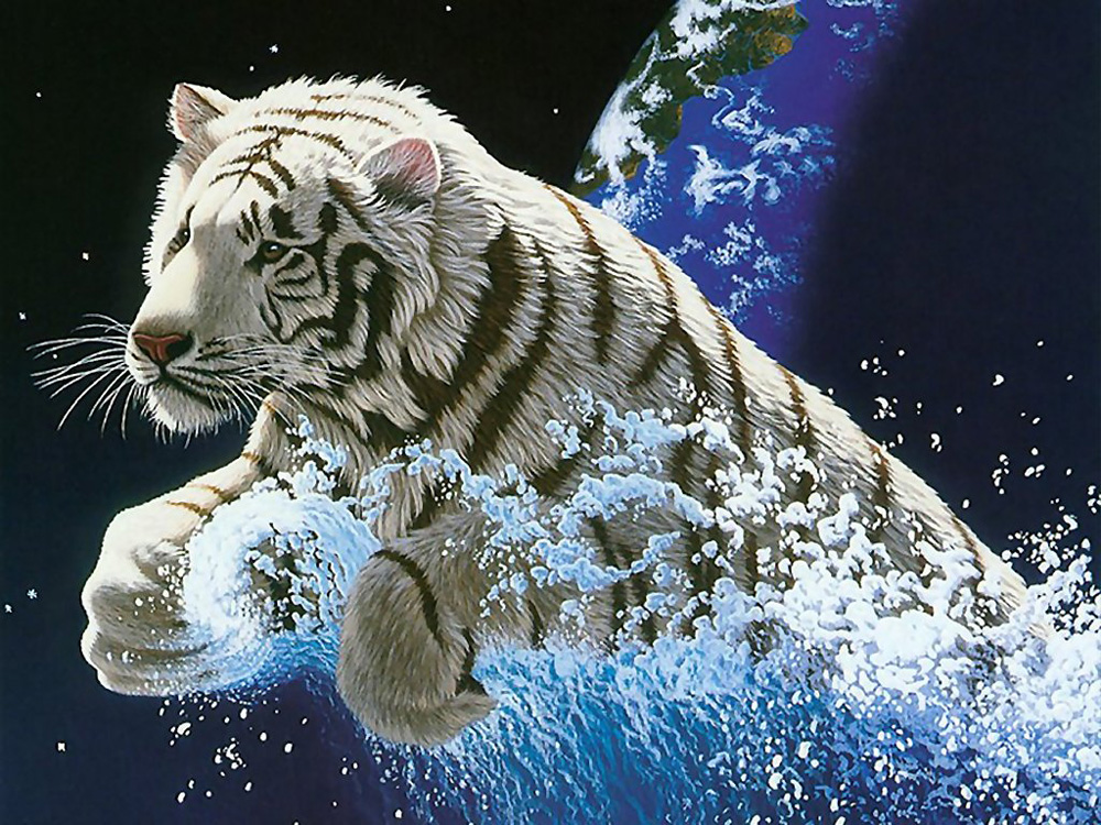 desktop hd animals 3d wallpaper