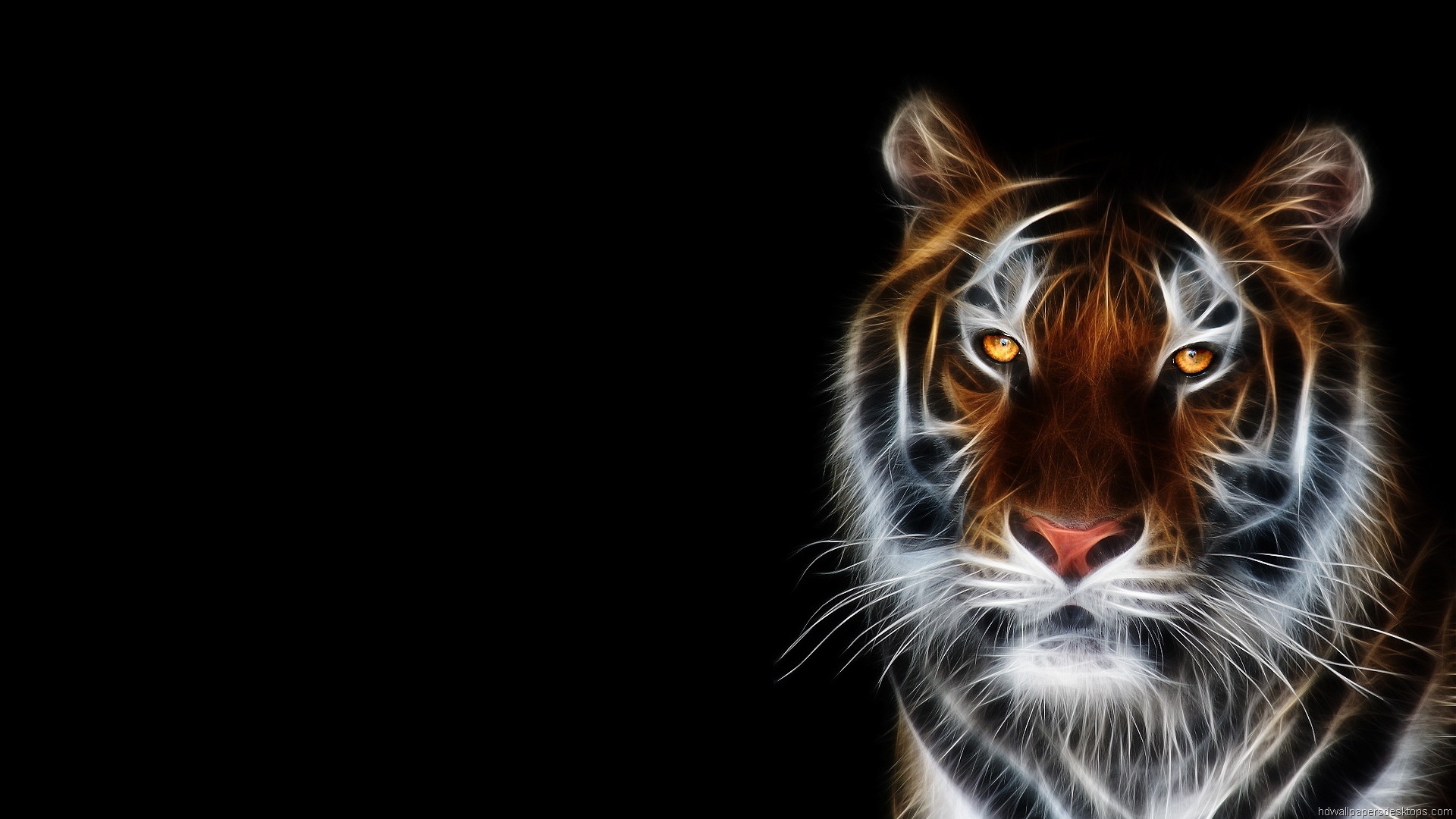 desktop hd animals images of