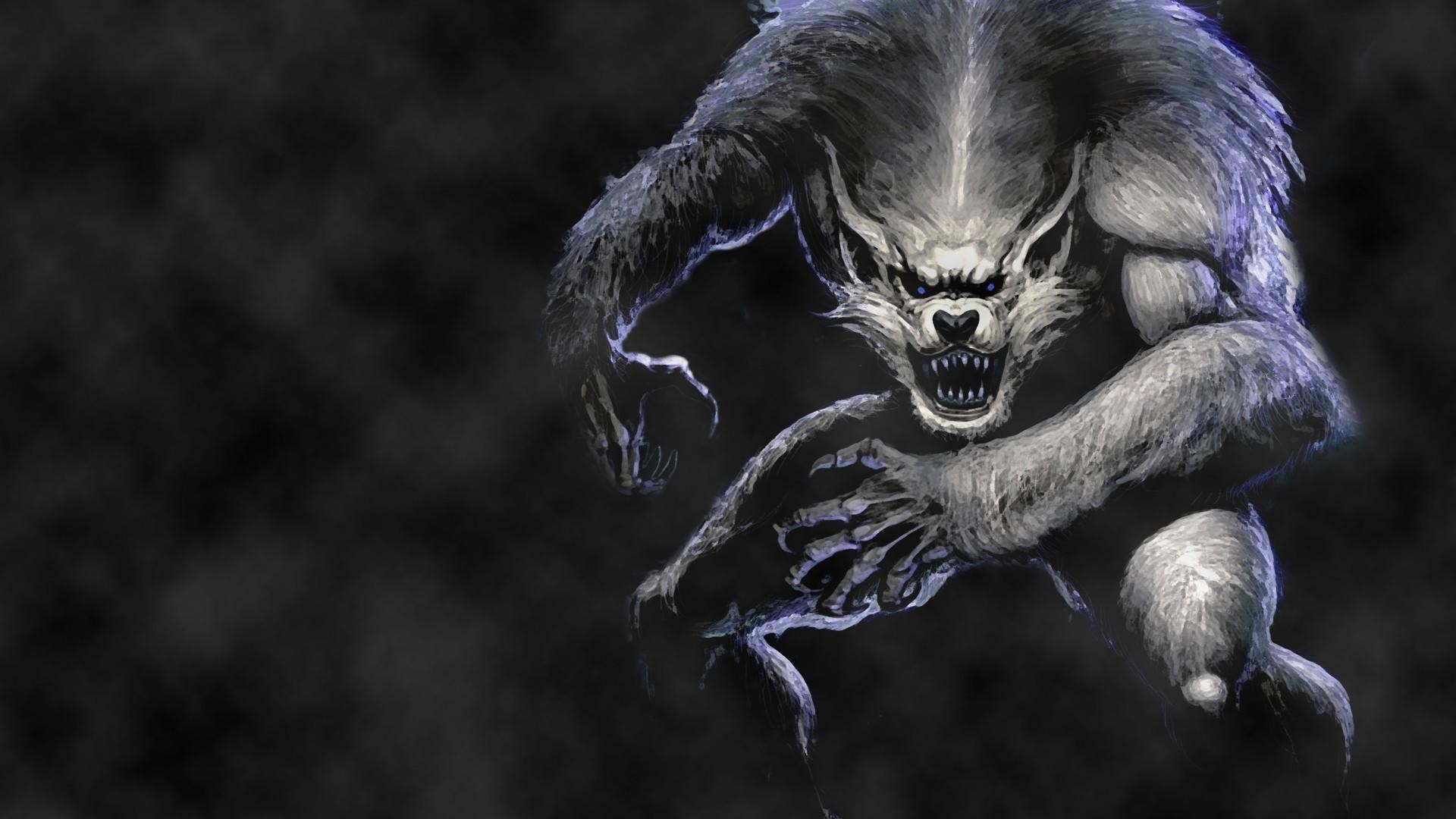 desktop hd wolf pictures download