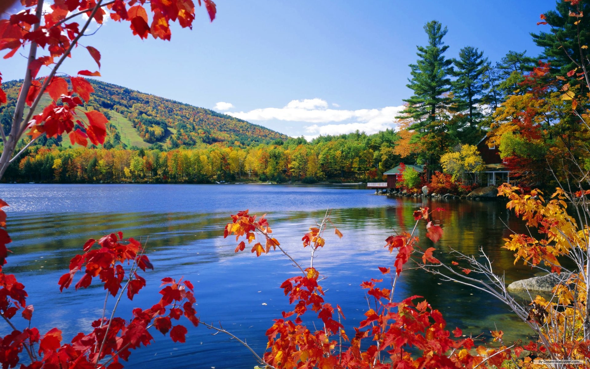 desktop nature wallpaper high quality dowload