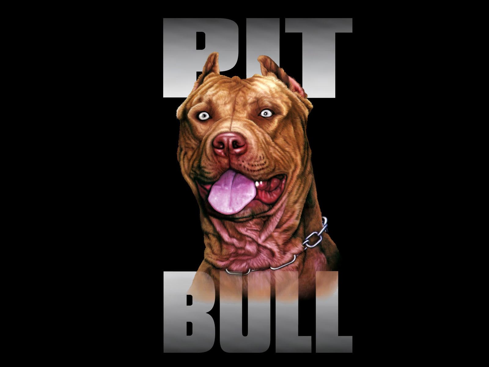 desktop pitbull dogs wallpaper dowload
