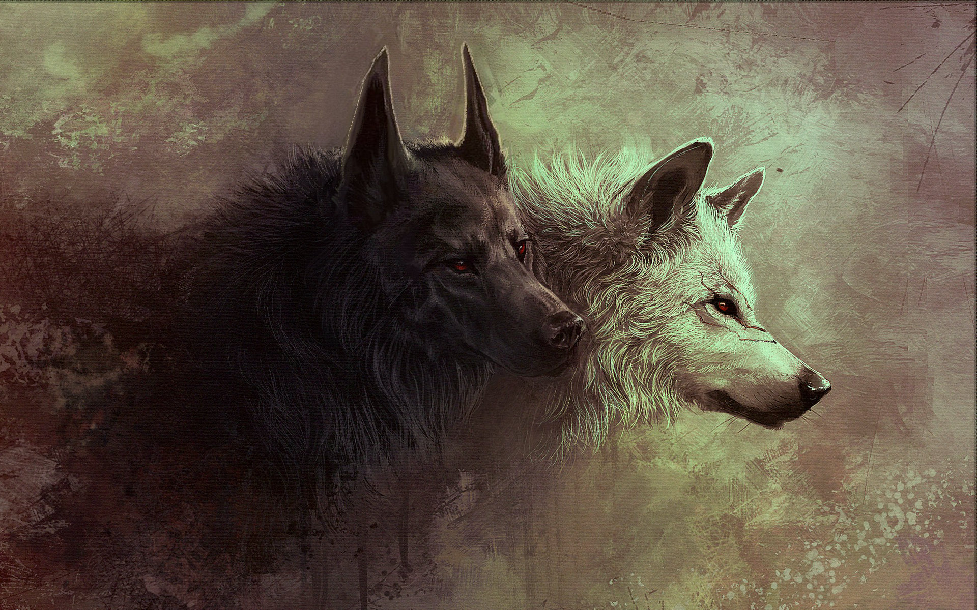 desktop white wolf images free