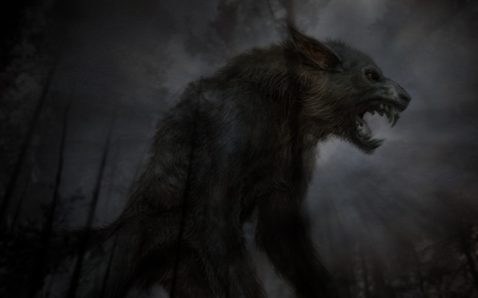 desktop white wolf pics free wallpaper