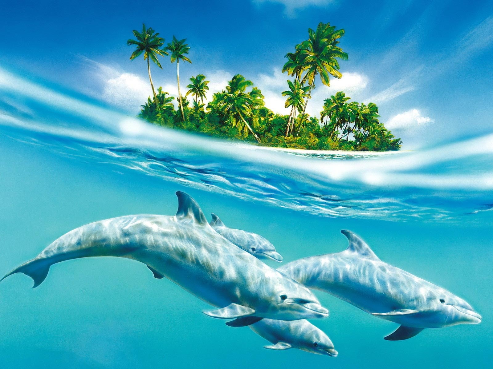 download romantic pics 3D