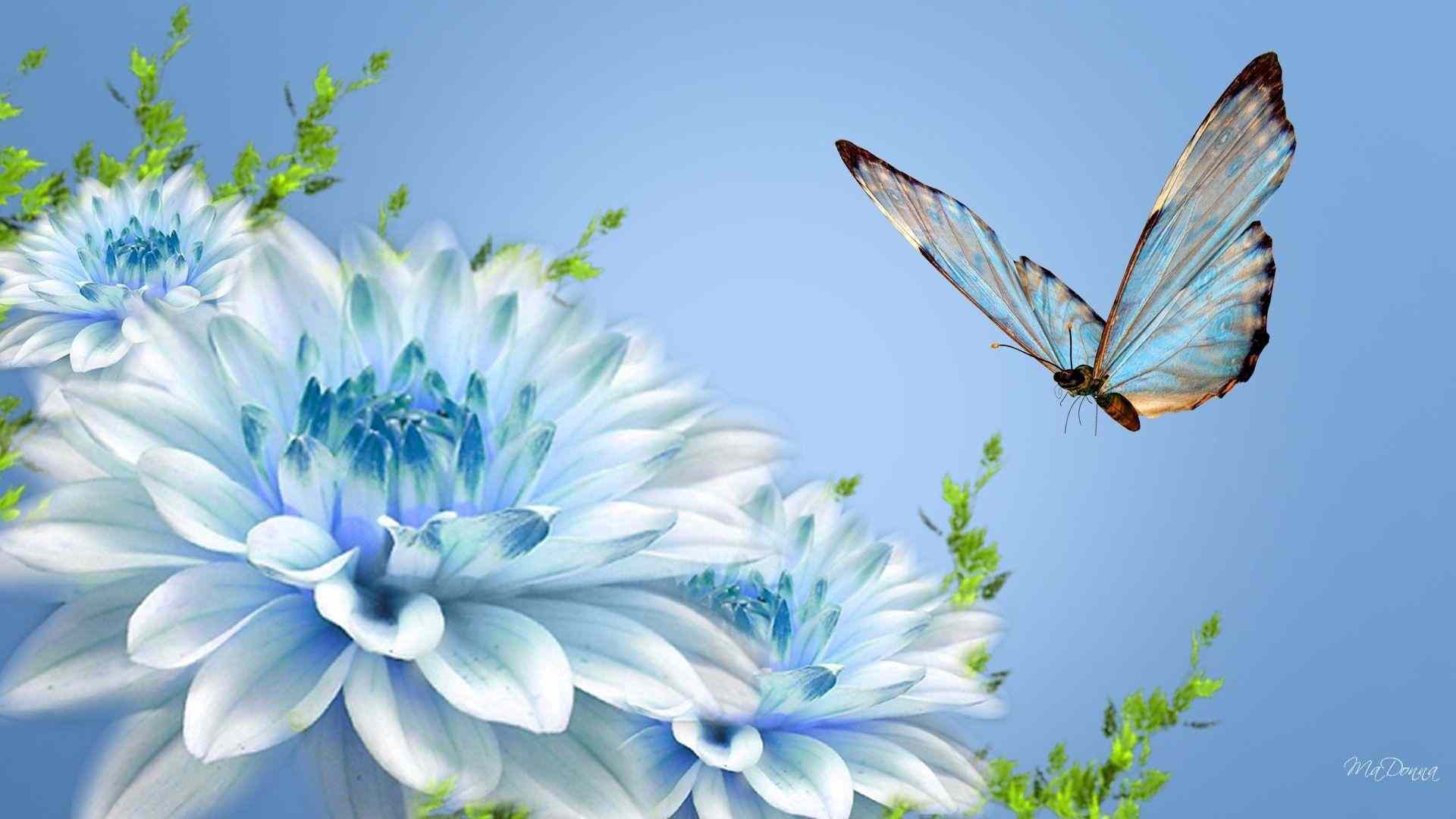 flower wallpaper images