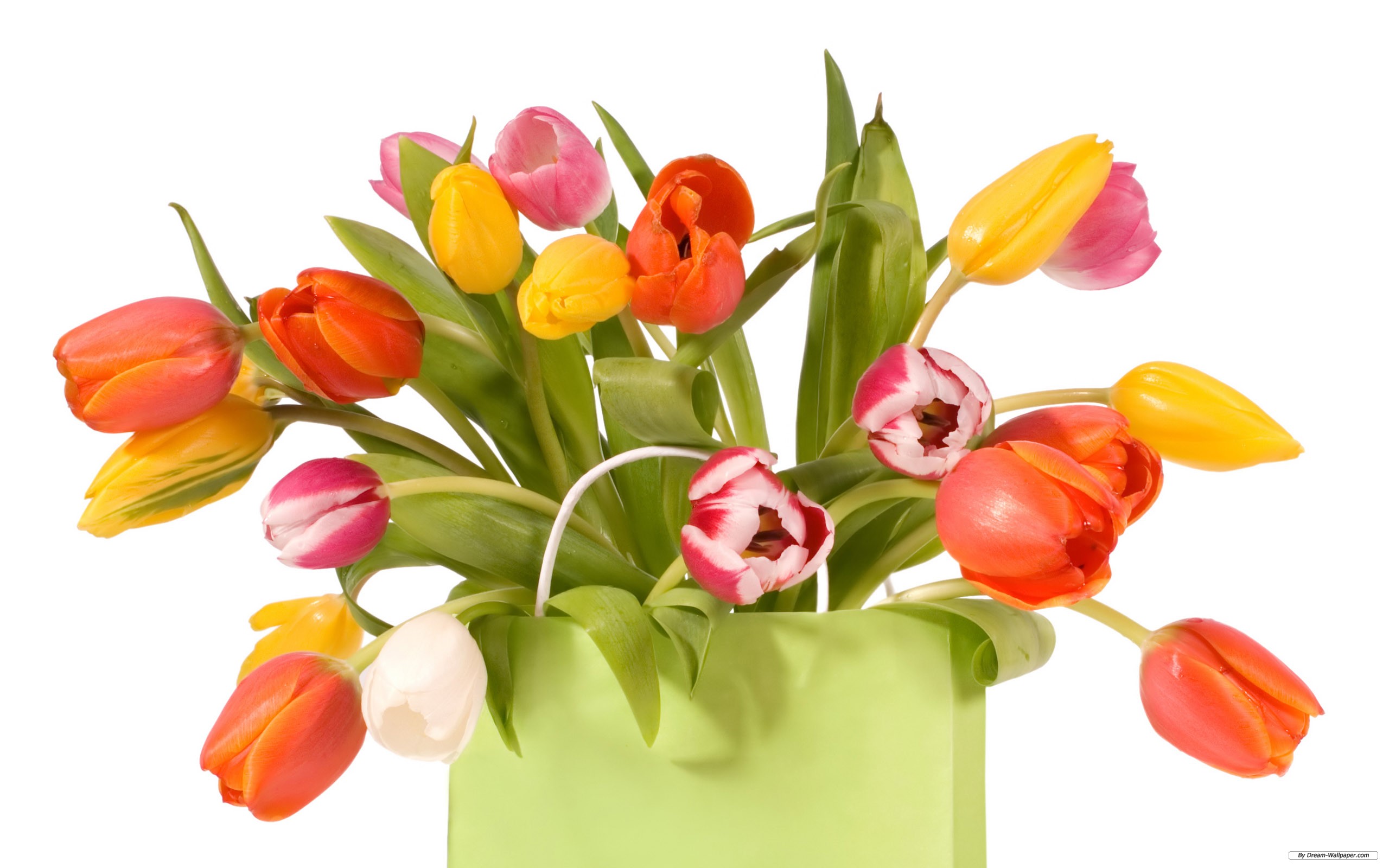 flowers pics images free
