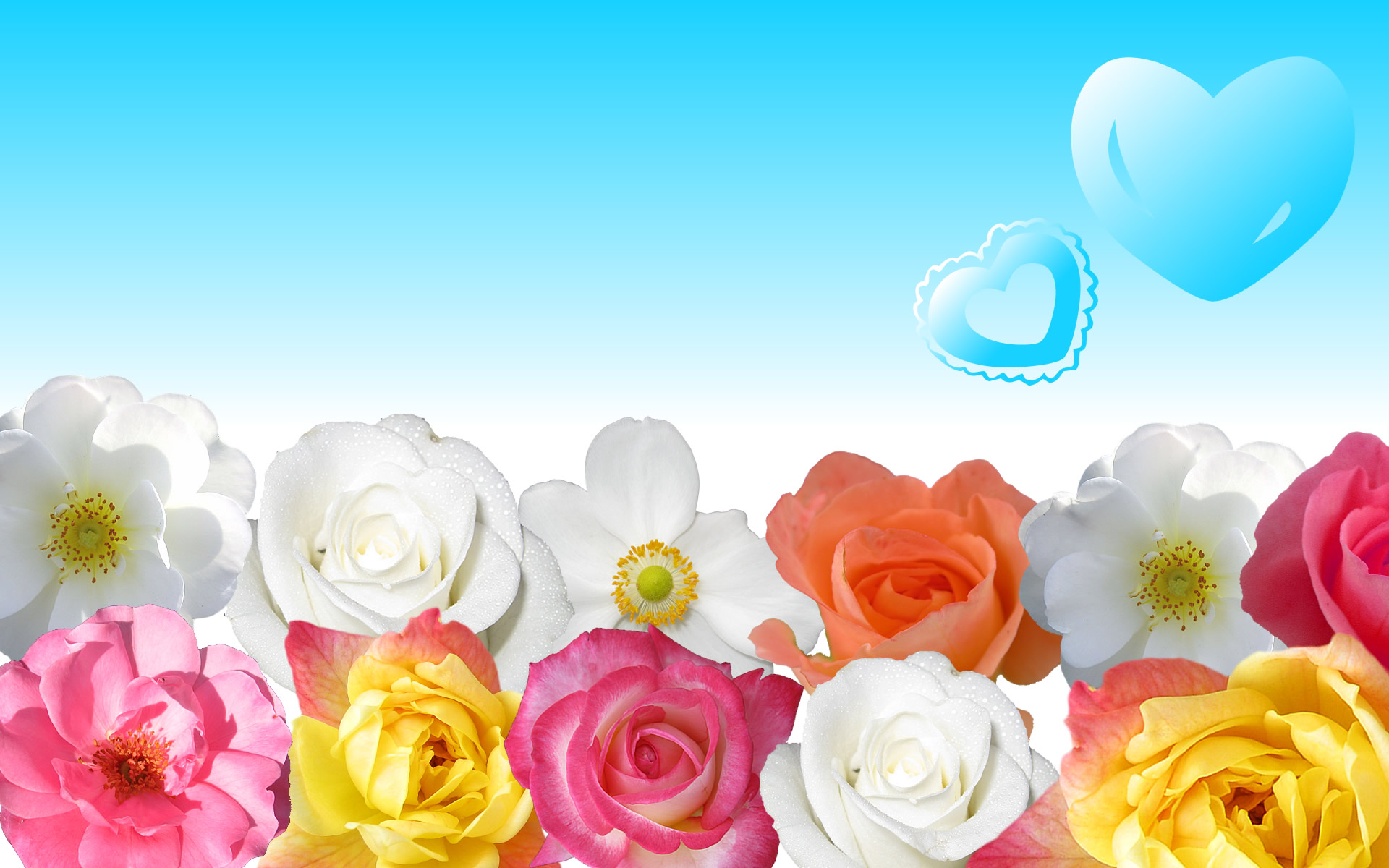 flowers wallpaper for desktop