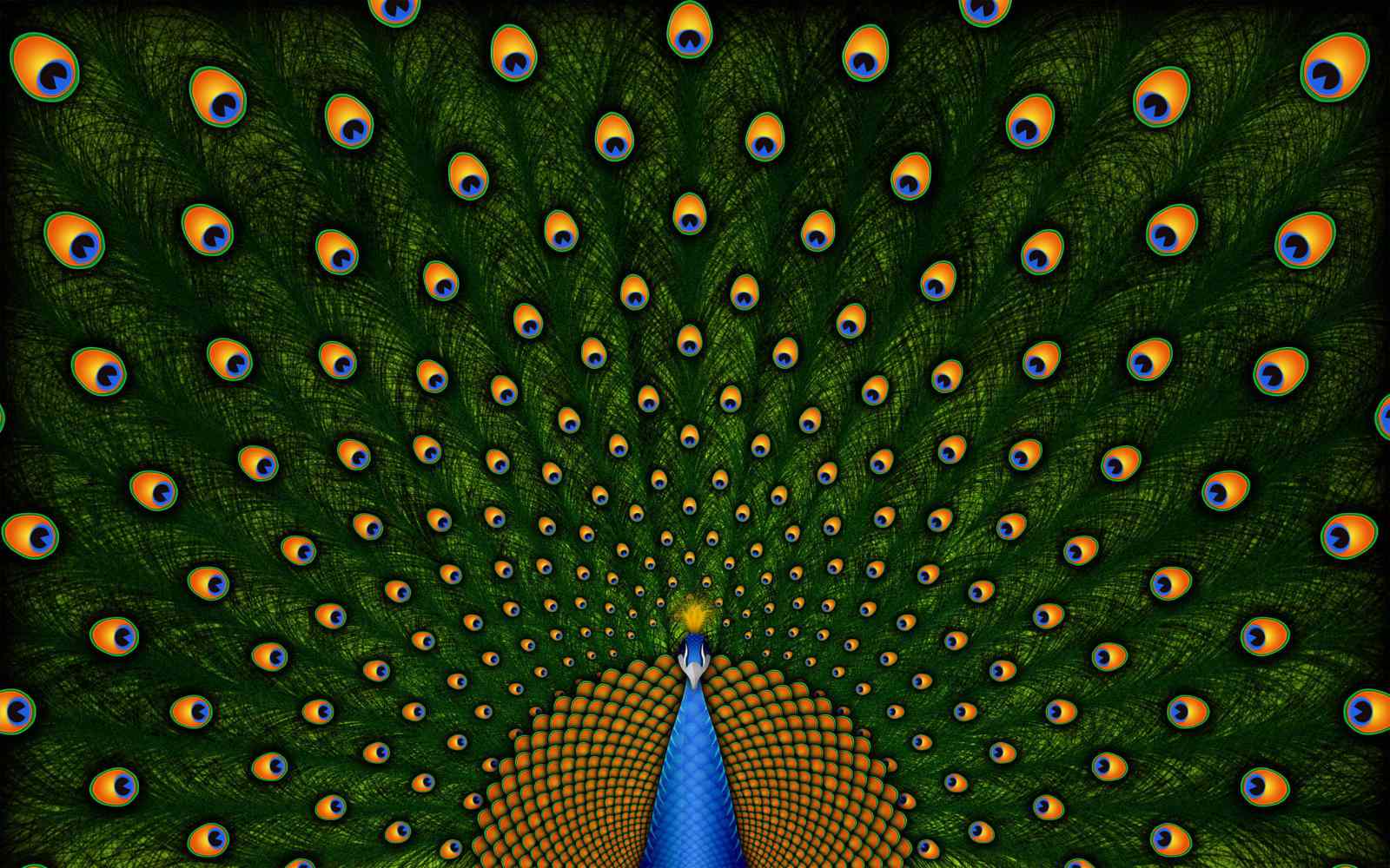 free download peacock wallpaper