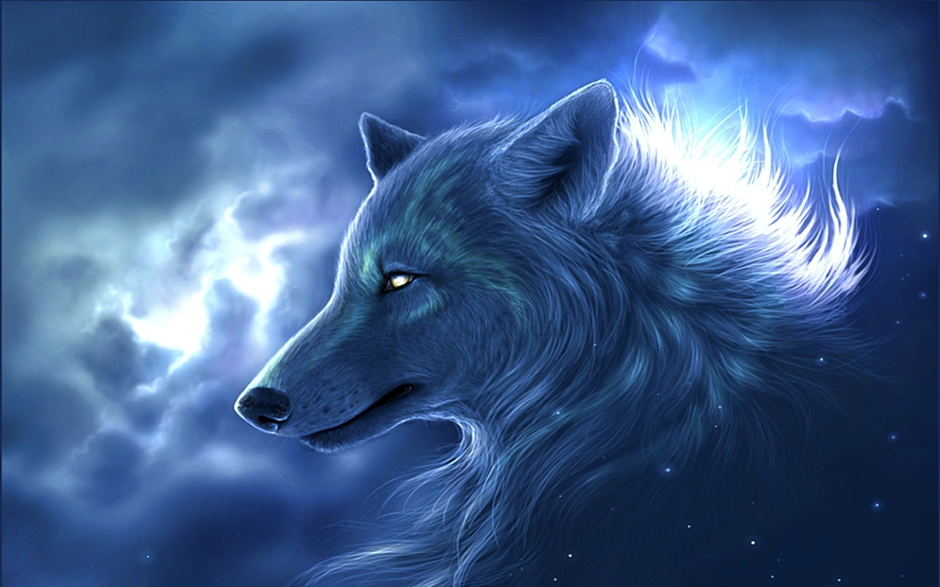 free wolf images download