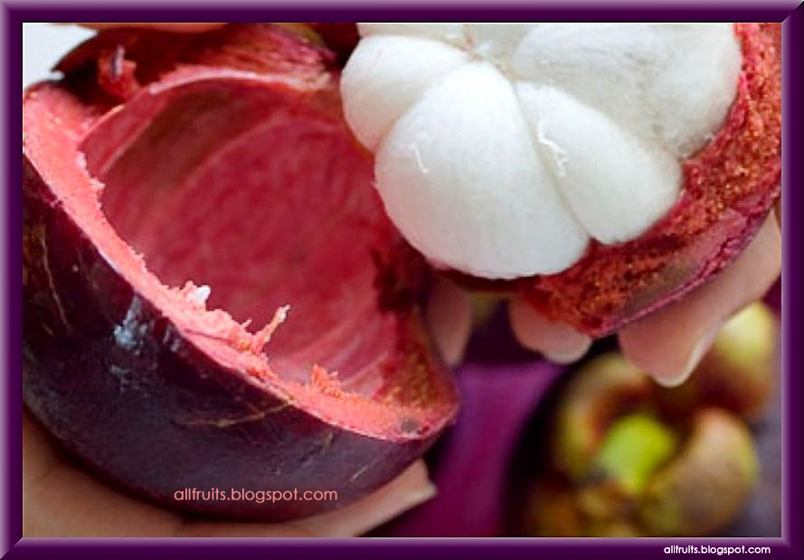 fruits name and pictures