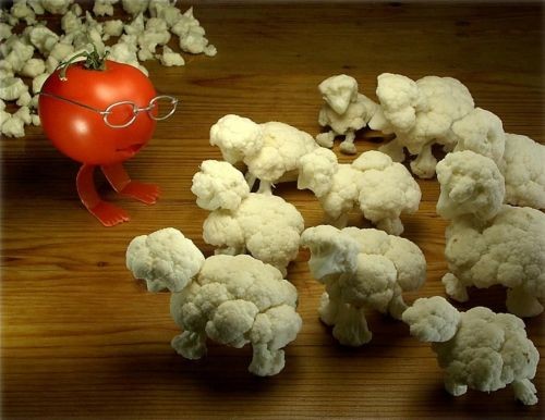 funny fruit photo