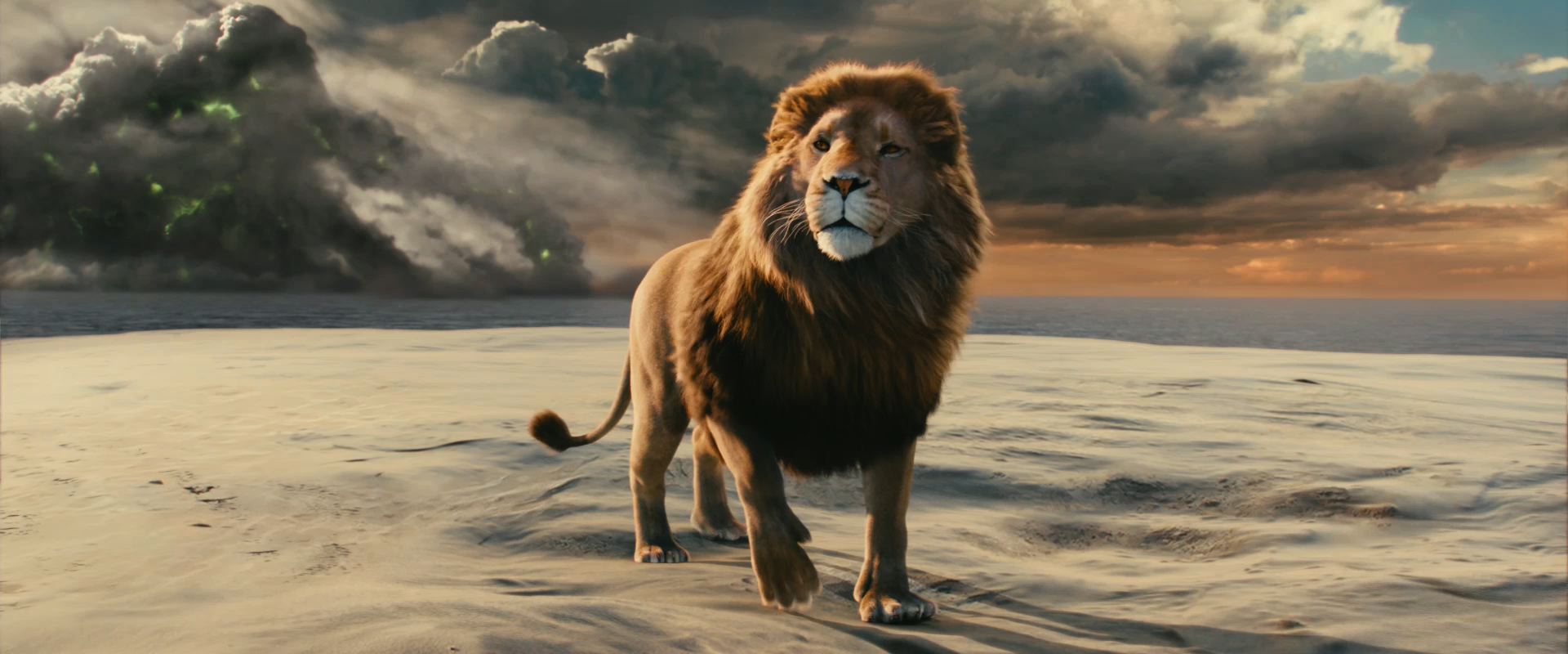 great lion wallpapers dowload