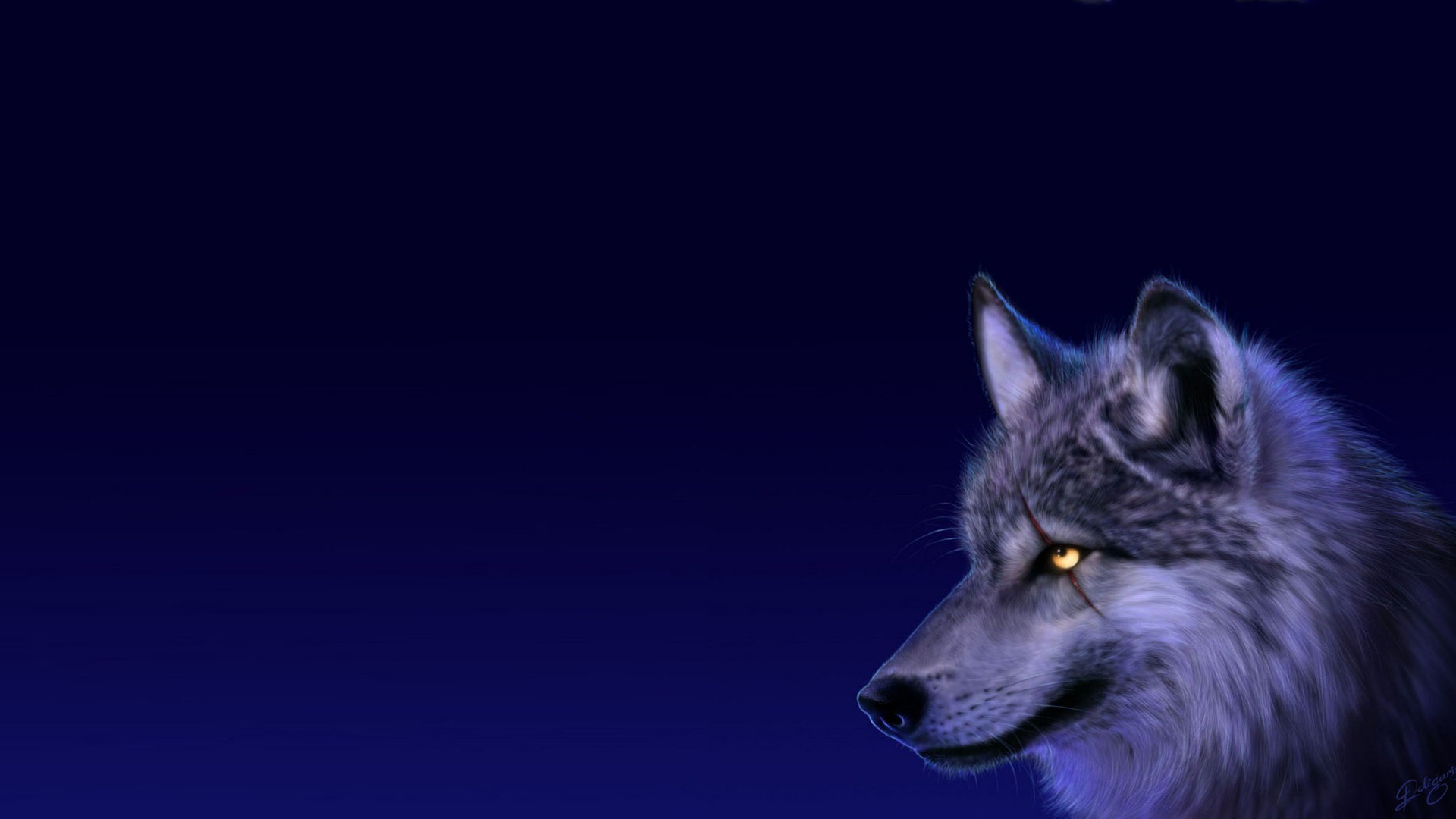 hd beautiful wolf pics