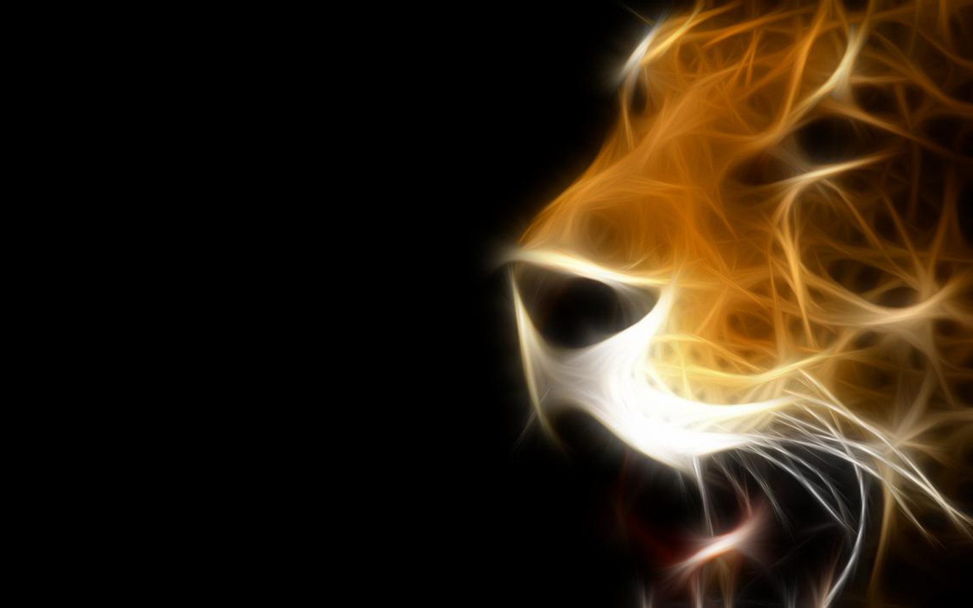 hd photos lion wallpaper
