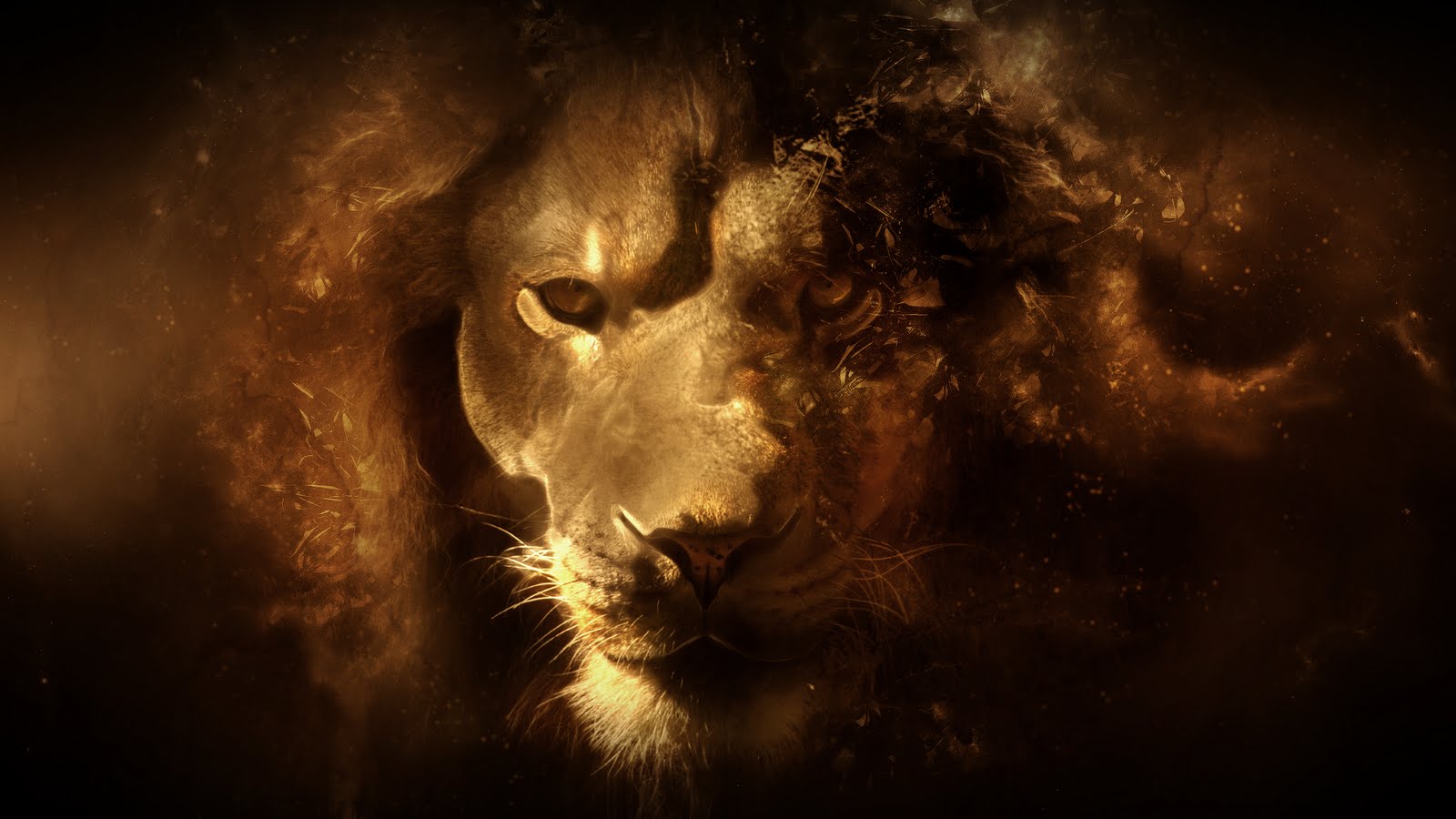 hd pictures hd wallpaper 3D