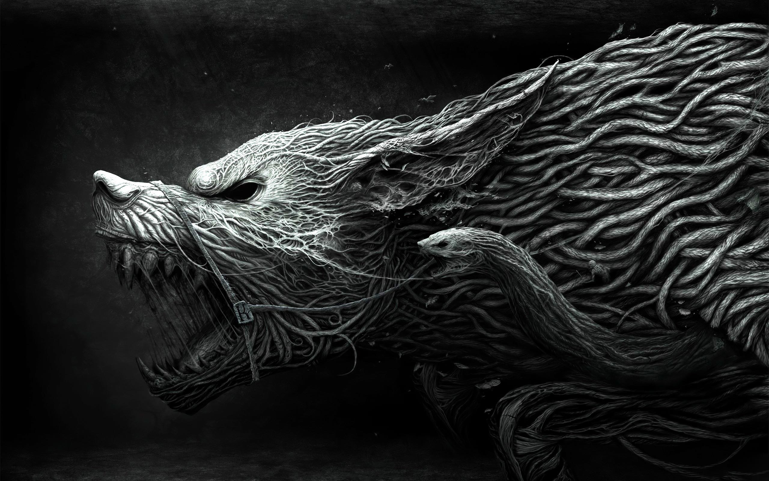 hd really cool wolf pics