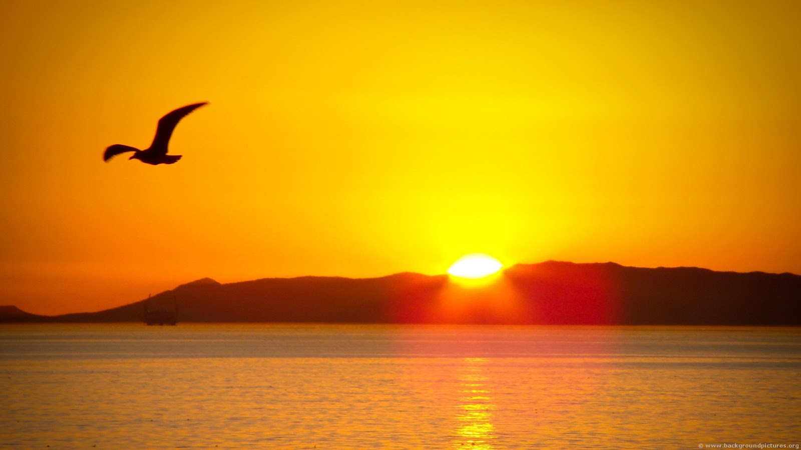 hd wallpaper send to mobile free