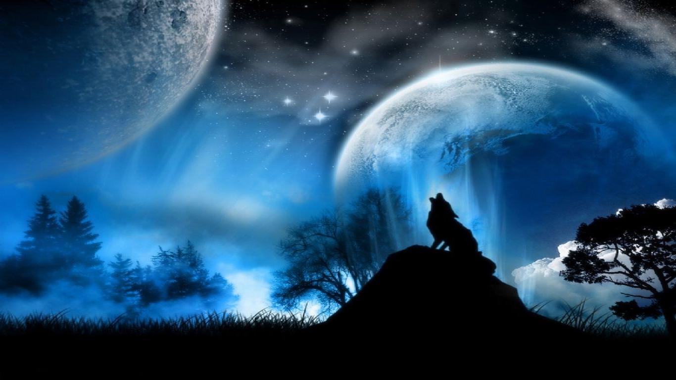 hd wolf pics download