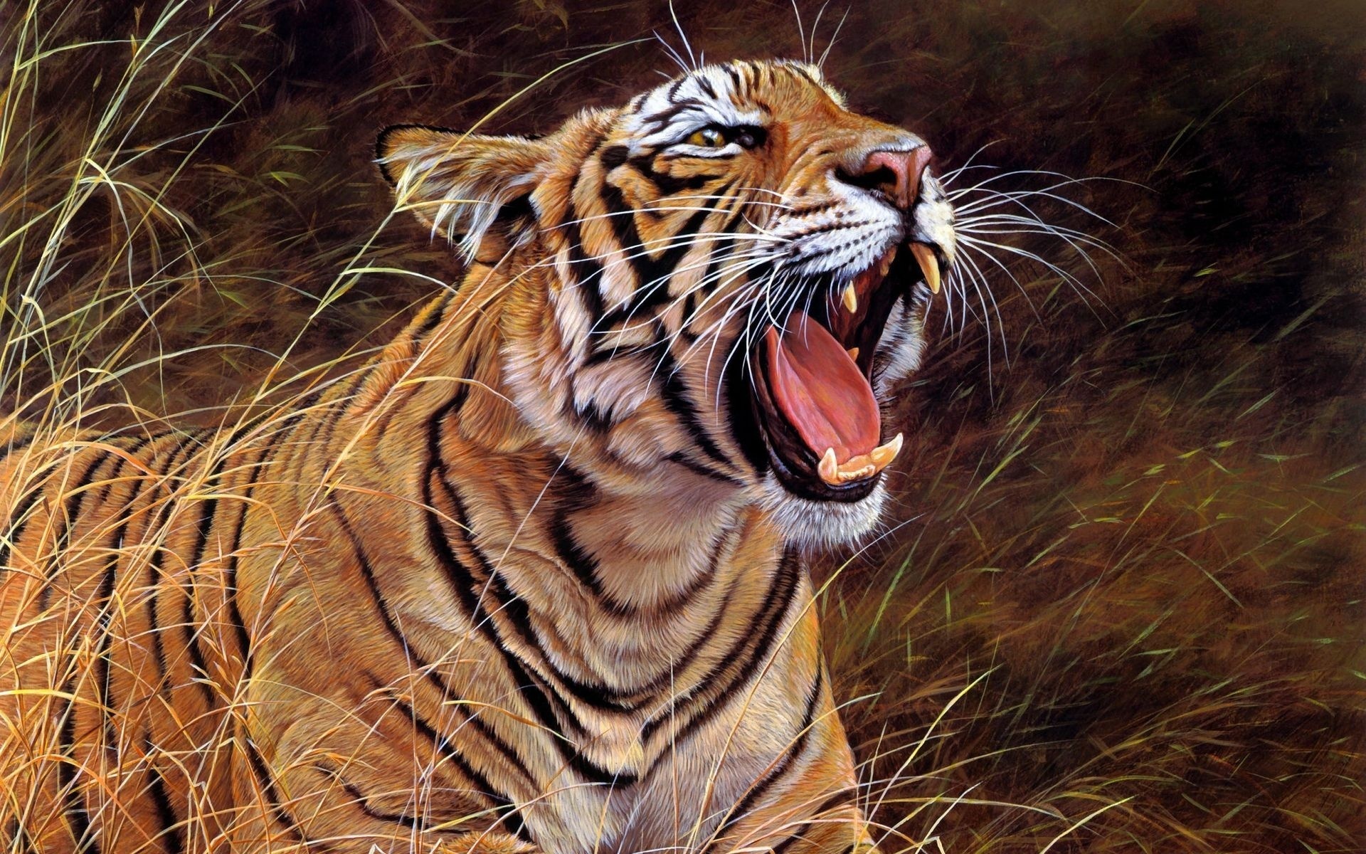 images of a bengal tiger dowload